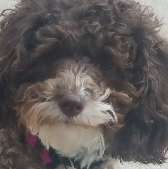 💥READ ME💥 - Picture 4 of 6